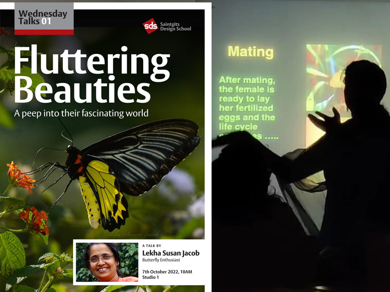 Fluttering Beauties